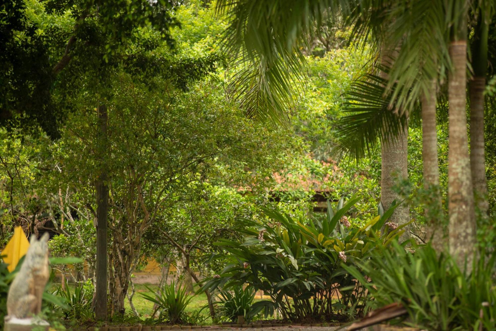 Pousada Chacara Rio Jordao Florianopolis Exterior photo